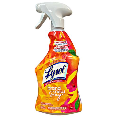 Lysol All Purpose Cleaner Mango 650ml